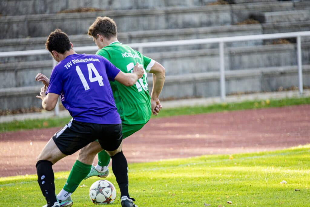 2024-10-13 Fussball Noerdlingen vs Dinkelscherben-00013 Fußball